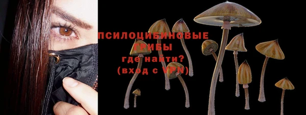 мдпв Новодвинск