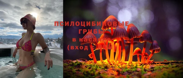 бутират Алексин