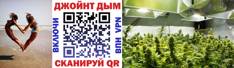 Канабис LSD WEED  как найти   Чадан 